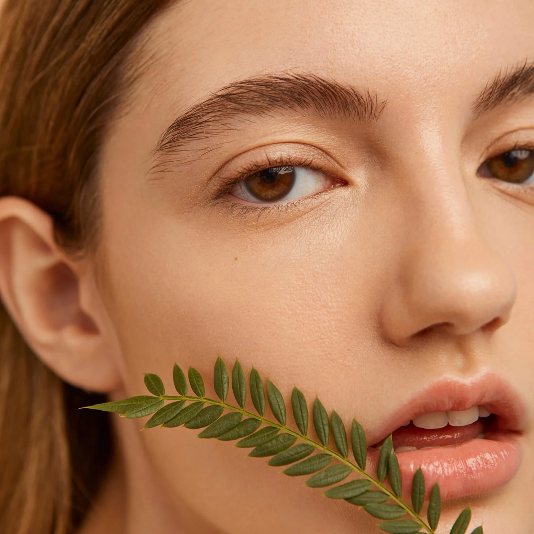 Detox Mask