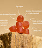 WonderCalm Mushroom Gummies