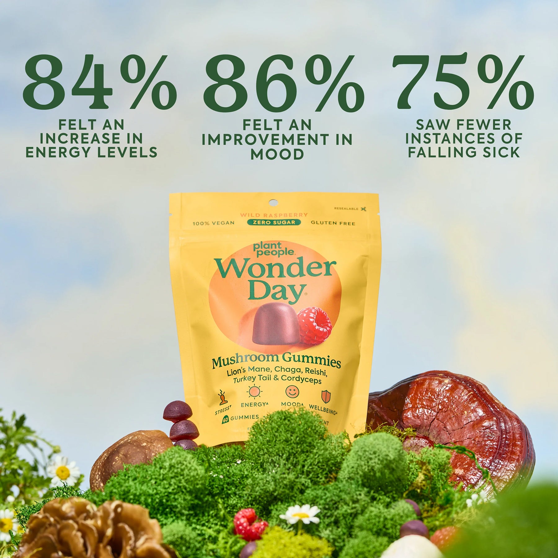 WonderDay Mushroom Gummies