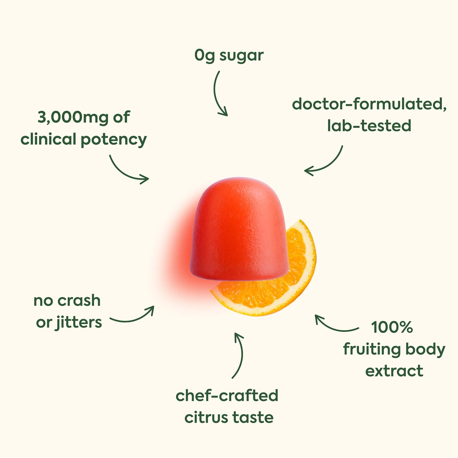 WonderFocus Mushroom Gummies